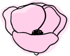 Mohnblume Icon Pink