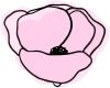 Mohnblume Icon Pink