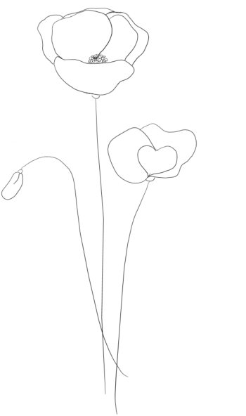 Mohnblumen Outline