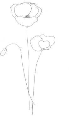 Mohnblumen Outline